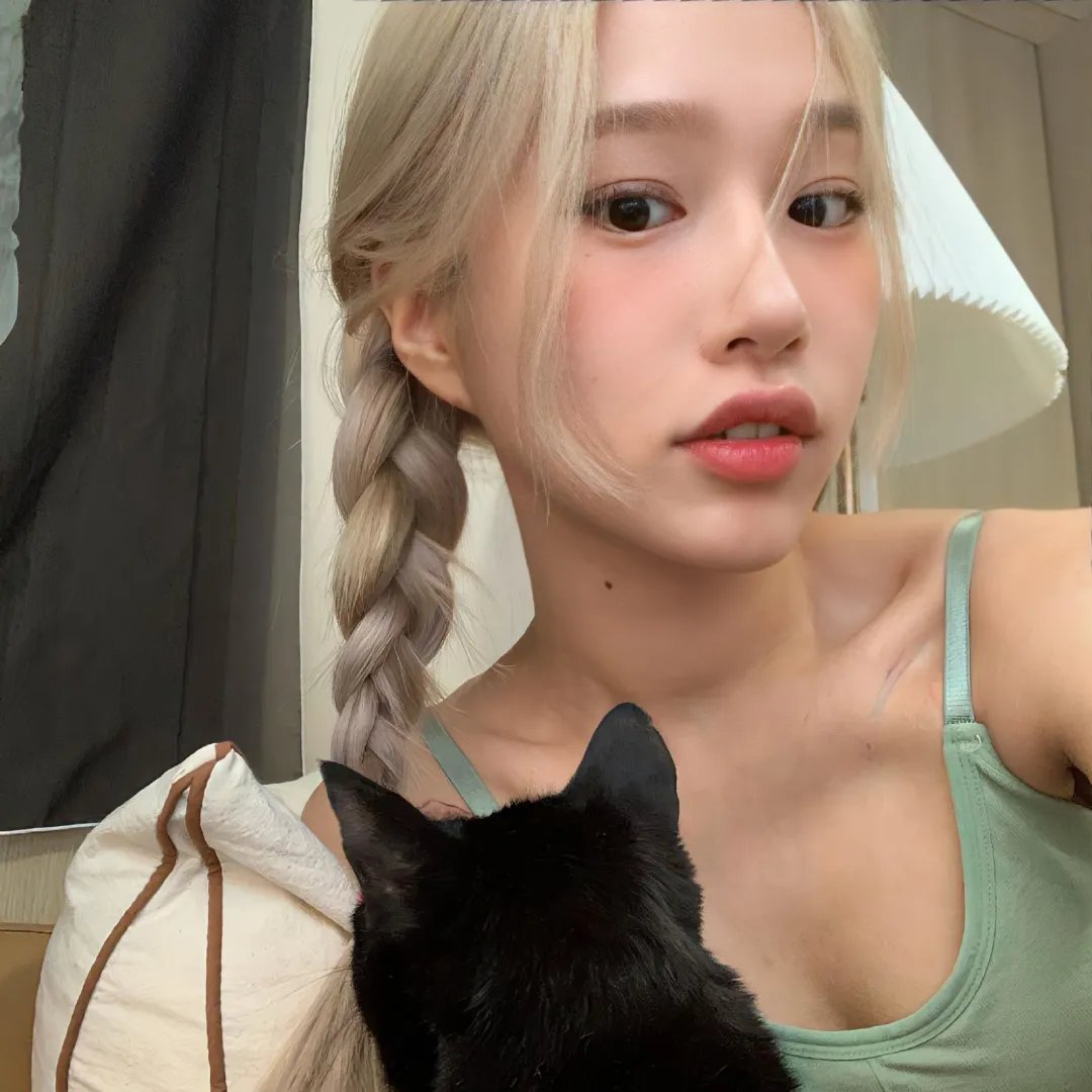 猫山王中王